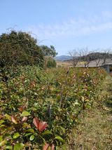 팜모닝 자유주제·자유게시판 게시글 이미지