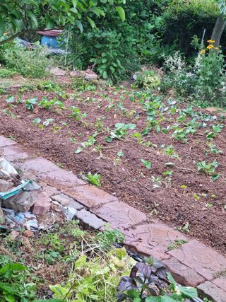 이남신님의 자유주제 · 자유게시판 작성글 사진