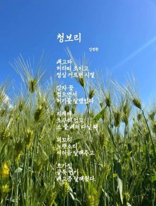 권리를위한투쟁님의 자유주제 · 자유게시판 작성글 사진