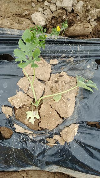 안병현님의 자유주제 · 자유게시판 작성글 사진