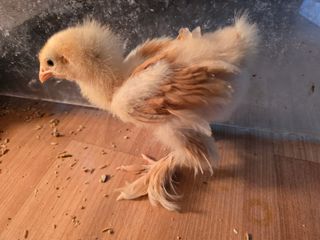 노아님의 자유주제 · 자유게시판 작성글 사진