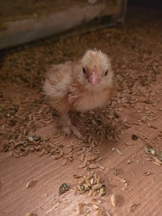 노아님의 자유주제 · 자유게시판 작성글 사진