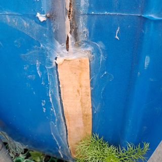 정강화님의 자유주제 · 자유게시판 작성글 사진