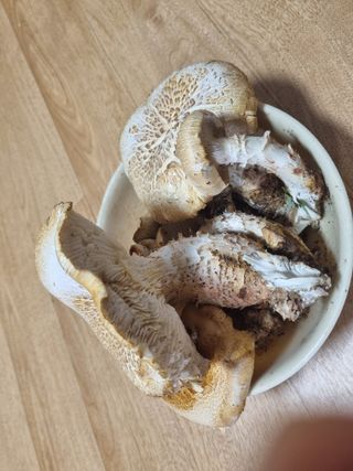 김동희님의 자유주제 · 자유게시판 작성글 사진