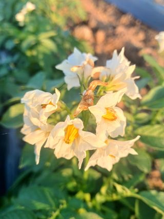 이정민님의 자유주제 · 자유게시판 작성글 사진