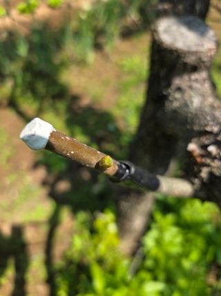 _고성농장님의 자유주제 · 자유게시판 작성글 사진