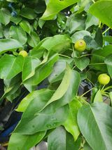 팜모닝 배·일상 게시글 이미지