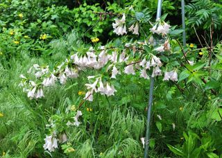 고추건조기부품판매님의 자유주제 · 자유게시판 작성글 사진