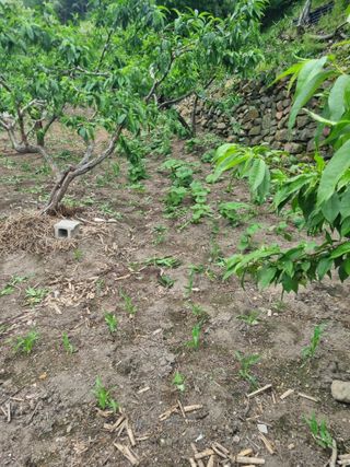 김용대님의 자유주제 · 자유게시판 작성글 사진