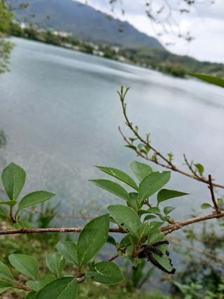 인생은 소풍처럼님의 자유주제 · 자유게시판 작성글 사진