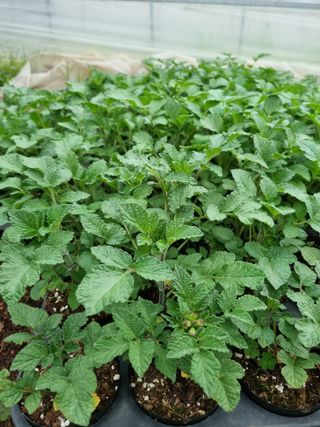 김용수님의 자유주제 · 자유게시판 작성글 사진