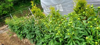 심기섭님의 자유주제 · 자유게시판 작성글 사진