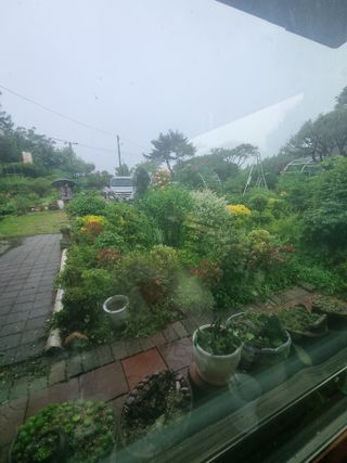 이남신님의 자유주제 · 자유게시판 작성글 사진