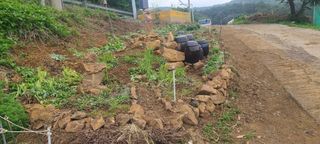 정응화님의 자유주제 · 자유게시판 작성글 사진