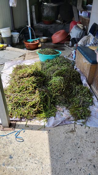 박기식 님의 자유주제 · 자유게시판 작성글 사진