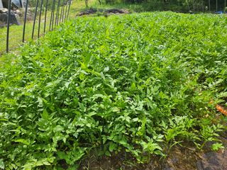 김용석님의 자유주제 · 사진전 작성글 사진