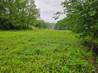 대학로님의 자유주제 · 자유게시판 작성글 사진