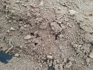 갑산 아리랑님의 농사, 무엇이든 물어보세요! · 참여글 작성글 사진