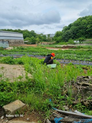 권오정님의 자유주제 · 자유게시판 작성글 사진