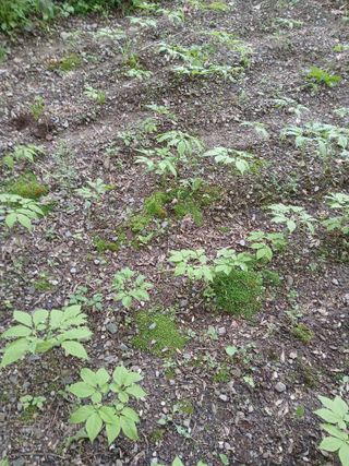 인생은 소풍처럼님의 자유주제 · 자유게시판 작성글 사진