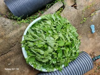 권오정님의 자유주제 · 자유게시판 작성글 사진