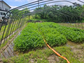 김용석님의 자유주제 · 사진전 작성글 사진