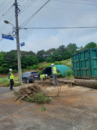 재연농장님의 자유주제 · 자유게시판 작성글 사진