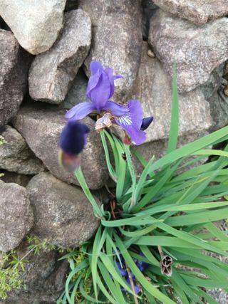 무료지식나눔 팜닥터님의 자유주제 · 사진전 작성글 사진