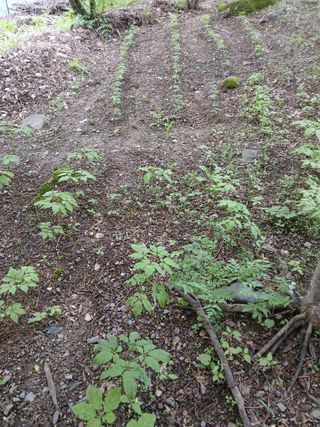 인생은 소풍처럼님의 자유주제 · 자유게시판 작성글 사진