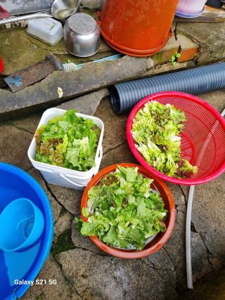 권오정님의 자유주제 · 자유게시판 작성글 사진