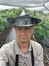 팜모닝 자유주제·자유게시판 게시글 이미지