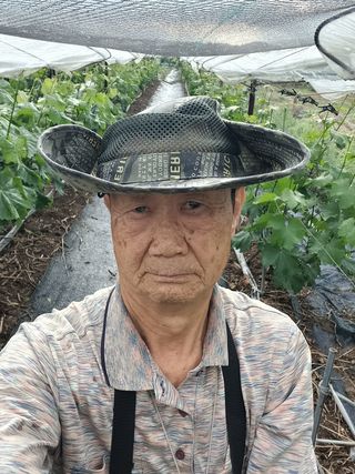 상훈경영체등록5년차님의 자유주제 · 자유게시판 작성글 사진