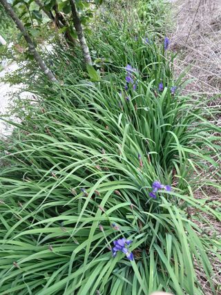 무료지식나눔 팜닥터님의 자유주제 · 사진전 작성글 사진