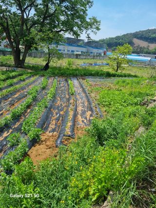 권오정님의 자유주제 · 자유게시판 작성글 사진