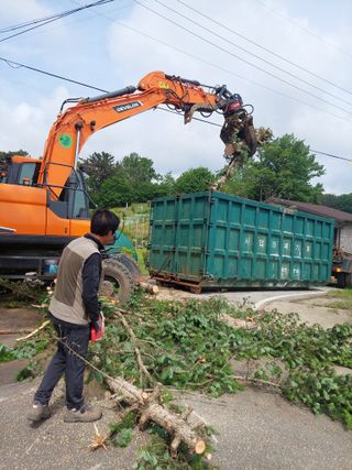 재연농장님의 자유주제 · 자유게시판 작성글 사진