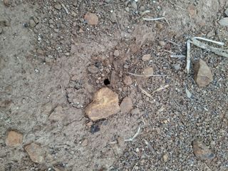 갑산 아리랑님의 농사, 무엇이든 물어보세요! · 참여글 작성글 사진