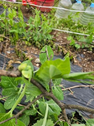 farmer님의 자유주제 · 자유게시판 작성글 사진