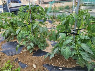 조상희님의 자유주제 · 자유게시판 작성글 사진