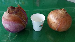 채종원님의 농사, 무엇이든 물어보세요! · 참여글 작성글 사진