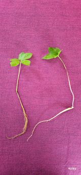 팜모닝 자유주제·사진전 게시글 이미지