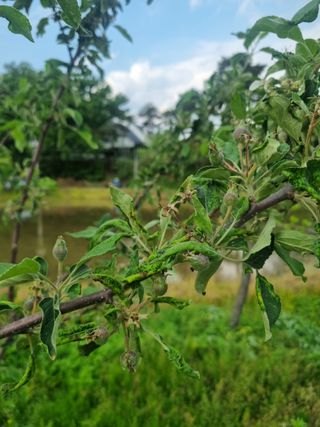 강은님의 자유주제 · 자유게시판 작성글 사진