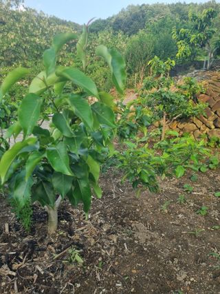 김용대님의 자유주제 · 자유게시판 작성글 사진