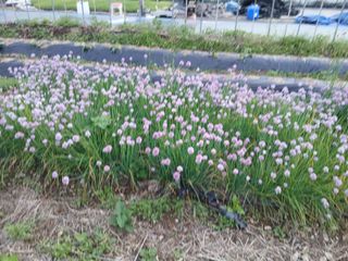 김상선님의 작성글 사진