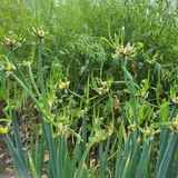 팜모닝 · 게시글 이미지