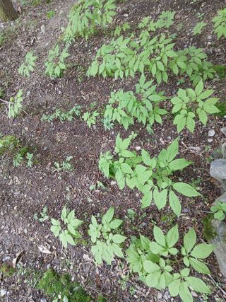 인생은 소풍처럼님의 자유주제 · 자유게시판 작성글 사진