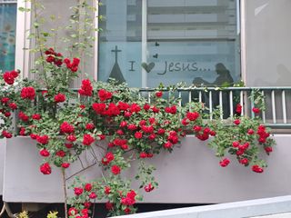 울금박사/빈덕열목사님의 자유주제 · 자유게시판 작성글 사진