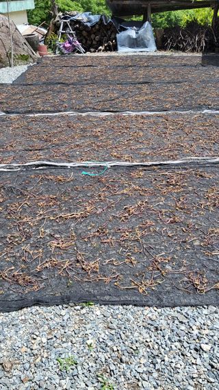 박기식 님의 자유주제 · 자유게시판 작성글 사진