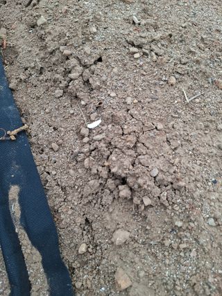 갑산 아리랑님의 농사, 무엇이든 물어보세요! · 참여글 작성글 사진