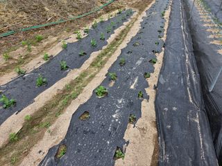 장두학님의 자유주제 · 자유게시판 작성글 사진