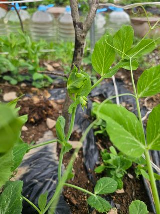 farmer님의 자유주제 · 자유게시판 작성글 사진
